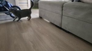 lv_0_20240224120936.mp4