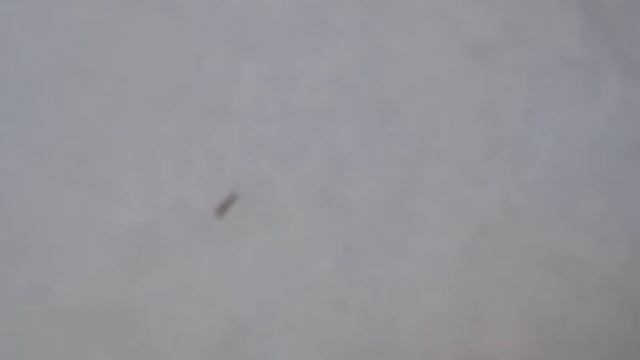 Комары зимой в парке Царицыно. смотреть онлайн