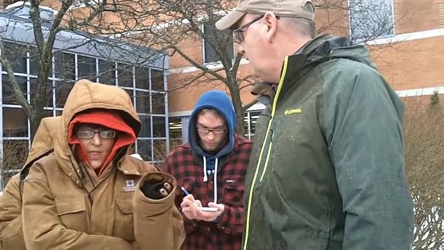 Chamaecyparis pisifera 'Lemon Thread' (Lemon Thread Sawara Falsecypress) смотреть онлайн