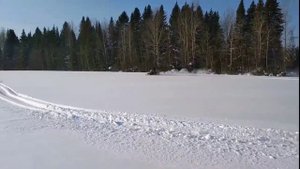 тикси 250 длинная гусянка рысь