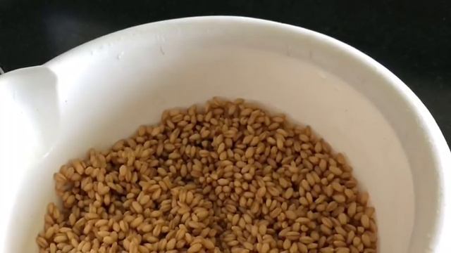 Як просто приготувати будь-яку пшеницю для куті.