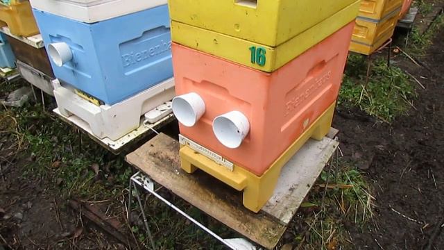 зачем на пасеке 6 рамочный улей, если есть 12 рамочный - ноябрь на пасеке смотреть онлайн