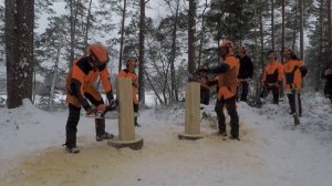 Husqvarna 550 XP Mark II & 545 Mark II