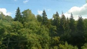 Скорость 250 км/час. Сапсан Москва-Питер. Путешествие.