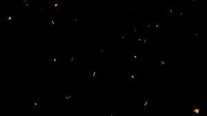 Футаж Осенние листья 03 с альфаканалом.