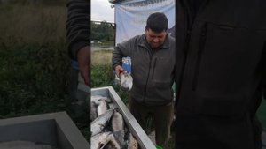 рыбалка в кокино . форель