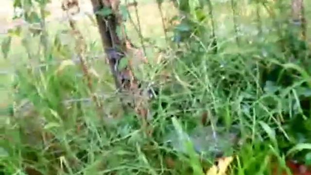 Four Floors Or Forty.mp4 смотреть онлайн