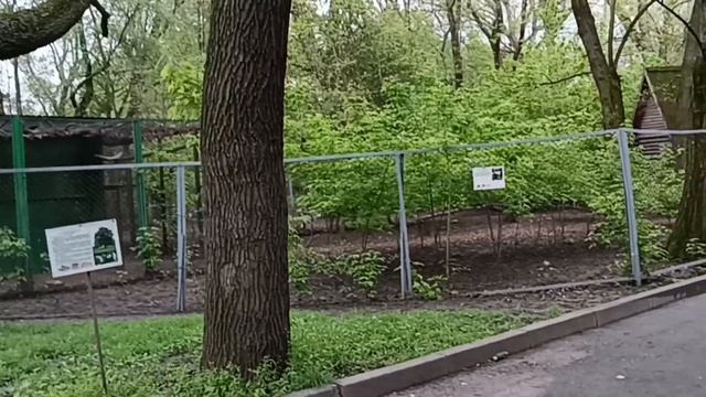 Ростов на Дону ?Зоопарк меня впечатлил? смотреть онлайн