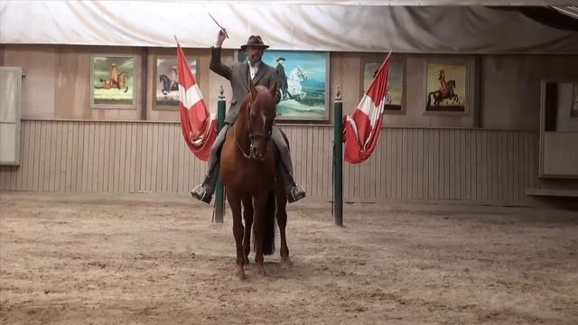 Bent Branderup Videoshop - Quarter-in смотреть онлайн