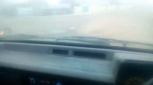 Помойки кормят