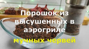 Порошок из высушенных в аэрогриле мучных червей