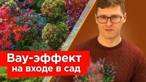 ПРОХОЖИЕ НЕ СМОГУТ ОТОРВАТЬ ВЗГЛЯД ОТ ВАШЕГО УЧАСТКА, если посадите эти растения на входе!