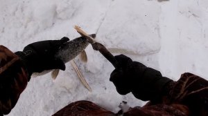 РЫБАЛКА МАХАЛКА НА АМУРЕ! ЛОВ ЩУКИ НА КРАБА!