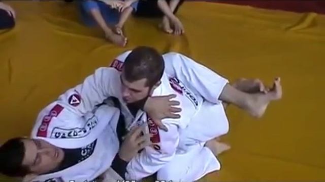 Семинар бразильское джиу джитсу 1323