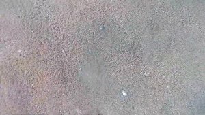 Подводная охота на барабульку в черном море