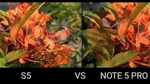 LENOVO S5 VS XIAOMI REDMI NOTE 5 PRO CAMERA TEST ORIGINAL COMPARISON | In Detail |