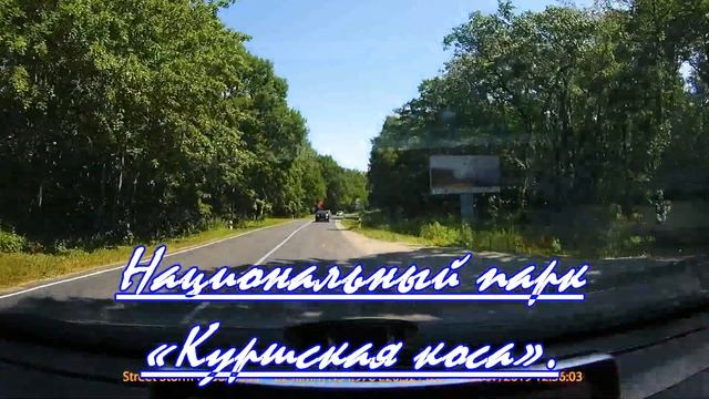 Куршская коса Калининград. Kurska Kosa Kaliningrad. Drive through Kurska Kosa. Зеленоградск.