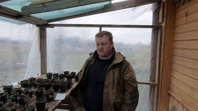 Как правильно удобрять голубику смотреть онлайн