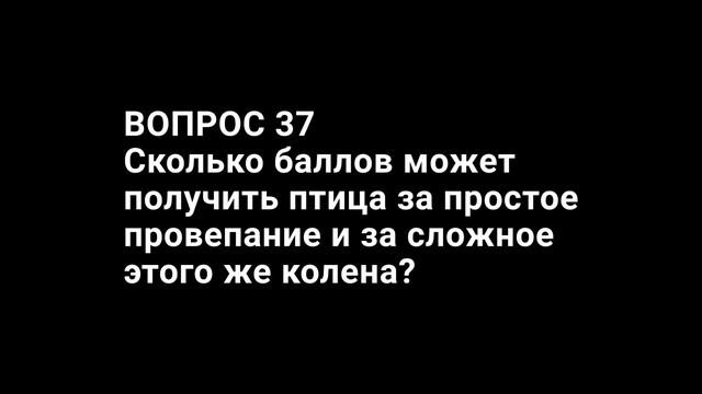 ВопросыОтветы5ч