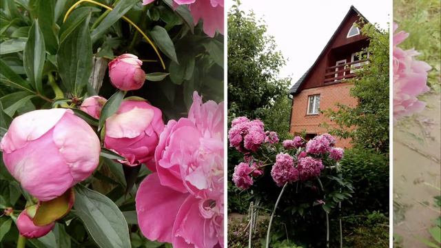 Давайте просто радоваться жизни! смотреть онлайн