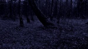 Звук Дождя и Раскаты Грома  6 Часов Для Глубокого Сна и Релаксации