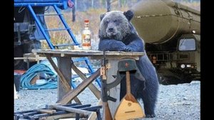 Русский Медведь  -  на защите Отечества.