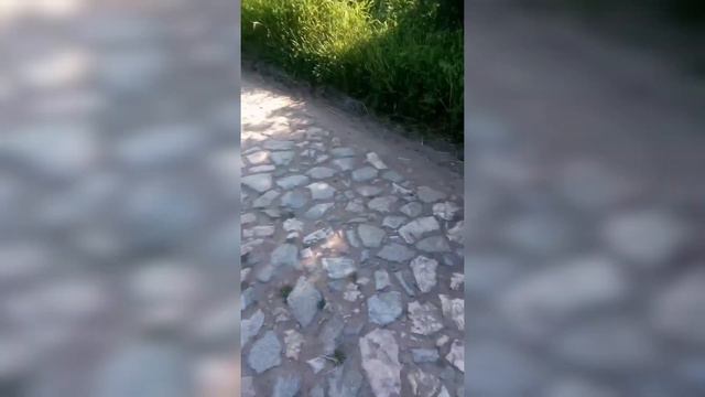 ВОЛОДЬКА СЬОДНІ НАГЛАЖЕНИЙ, ВСЬО ЯК ПОЛОЖЕНО, КУКУ МАЛІНА // ТЕ САМЕ ВІДЕО ОРИГІНАЛ