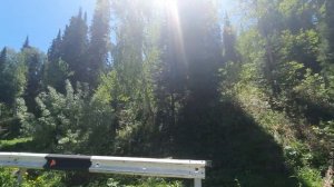 Частички Солнца 🌞  в Горной Ульбинке  ВКО- Жаркие и Горный Пион🌍