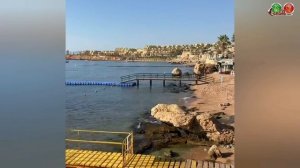 обзор отеля Hilton Sharks Bay Resort 4* (новый обзор)...