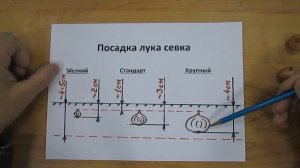 Посадка лука севка
