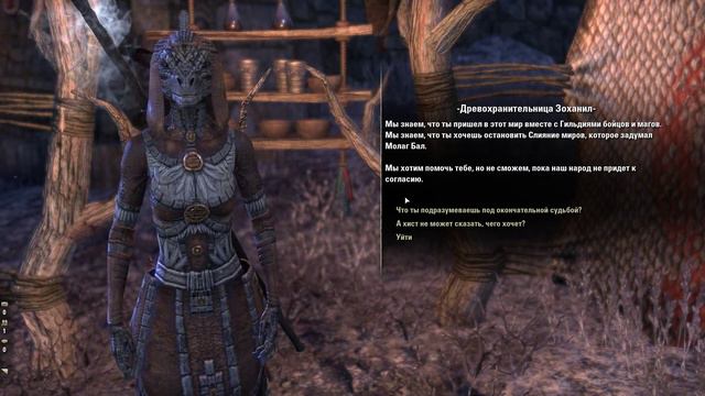 Elder Scrolls  Online - Вековая мудрость
