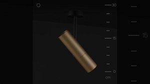 Спот Maytoni C020CL-01GB Elti