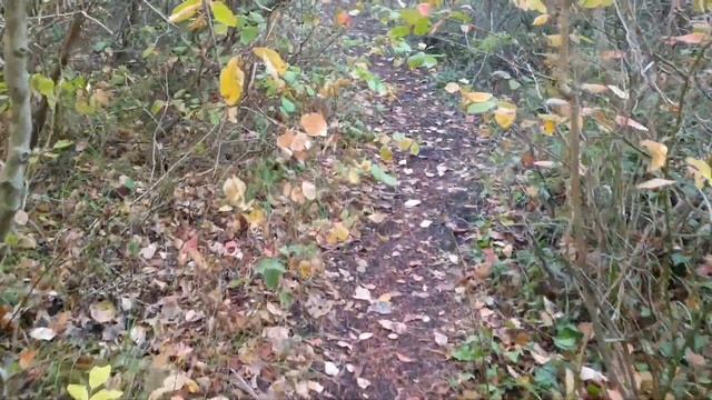 #ГЕЛЕНДЖИК 2023 ПОГОДА В ОКТЯБРЕ ГОЛУБАЯ БЕЗДНА СУПЕР МЕСТО НА МОРЕ смотреть онлайн