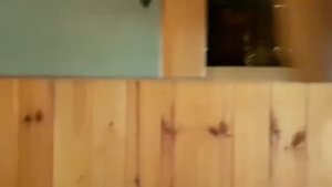 База отдыха "Пирново". Обзор домиков класса "ЛЮКС".(п. Пирново, Киевская обл.) ?