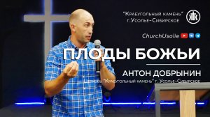 "Плоды для Господа" Антон Добрынин I 11.08.2024