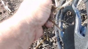 Коп в Воронежской обл.