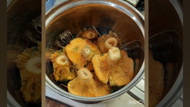 САМЫЙ ВКУСНЫЙ РЕЦЕПТ СОЛЕНЫХ РЫЖИКОВ ХОЛОДНЫМ СПОСОБОМ