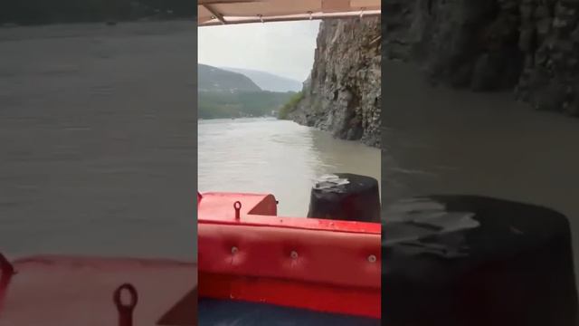 "Ошалеть!": в Дагестане спасли упавшего со скалы маленького телёнка / Река Сулак
