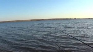 Рыболовные места. Ириклинское водохранилище