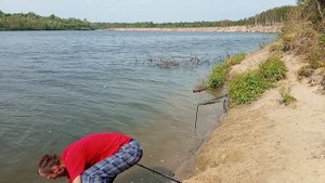 29.08.22. Рыбалка на Ветлуге. Ловим Лещей.