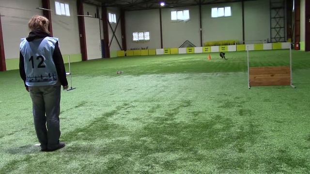 Власова Анастасия Б/колли Shepville Gamble Чемпионат Санкт-Петербурга. Обидиенс 3. 17.11.18 Уве! смотреть онлайн