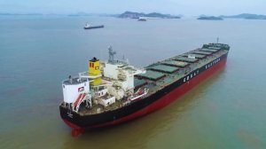 Jag Anand | India's capesize bulk carrier