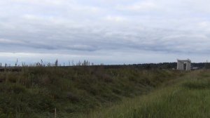 Автомотриса АЧ2-007