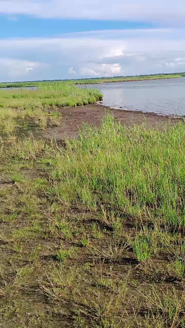 Погуляем немного 🚲👍