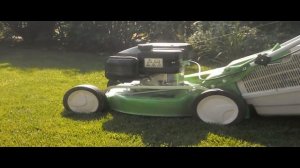 Важно! Как правильно стричь газон