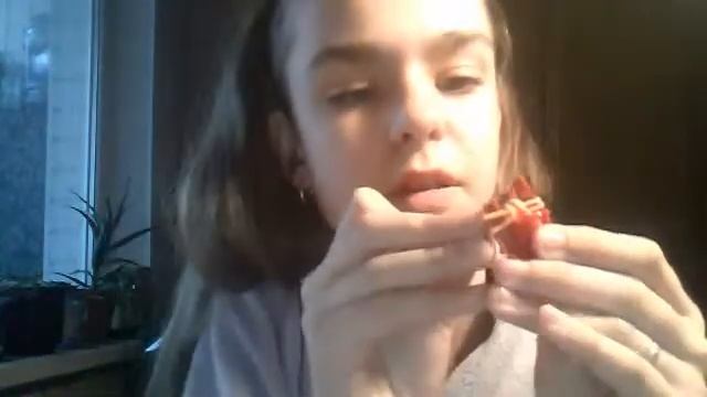 Webcam video from May 3, 2015 05:24 PM (UTC) смотреть онлайн