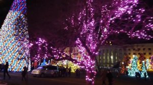 Stavropol new year  [ставрополь в новый год]