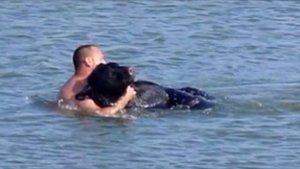 Медведь тонул в воде. От того, что сделал этот мужчина, бросает в пот, в такое верится с трудом