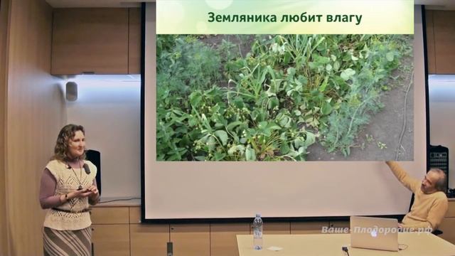 Щедрая земляника всё лето. Секреты выращивания смотреть онлайн