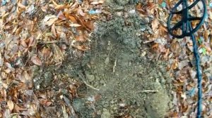 Нашел Старую дорогу в глухом лесу, бреду по ней! Поиск с металлоискателем Фишер Ф75 Блэк.